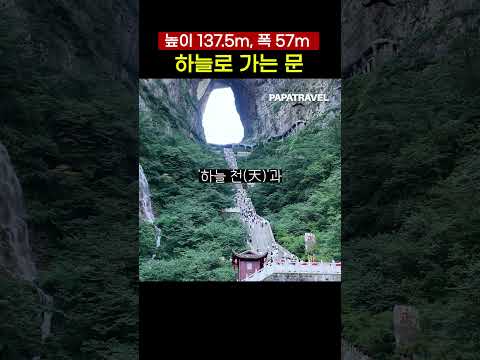 천문동의 매력과 상징: 자연과 문화의 만남