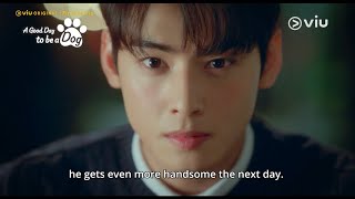 Sinopsis A Good Day to be a Dog, Kutukan Seorang Wanita yang Berubah Jadi Anjing setiap Mencium Pria