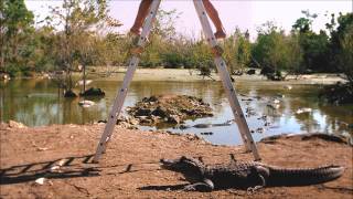 Small Black - Only A Shadow