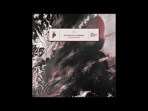 Los Fugazzi & Vongold - Delete ( Original Mix)