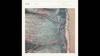 Sin Fang, Sóley & Örvar Smárason: Space