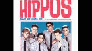 The Hippos - Struggling