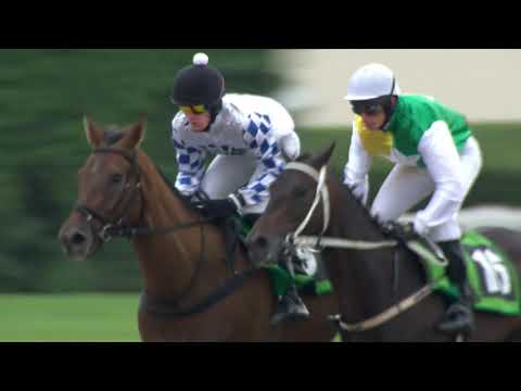 PE, 25. 7. 2020, 7. dostih - Cena za podpory ADW FEED, a.s.