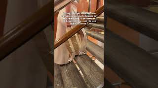 Can't stop eating on a cruise🛳️😅 #shorts #cruiselife #cruisefood