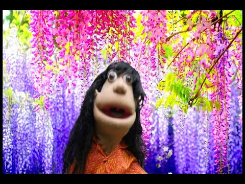 Motivational Patsy 2 (Happy Patsy)