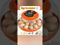 How to Hatch Chicks Like a Pro! 🐣 This Smart Incubator Guarantees 99% Success #shorts #eggincubator