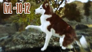 First time level up on hacked account | 10-12 lvl ~ The wolf