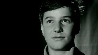 The 400 Blows (1959) Video