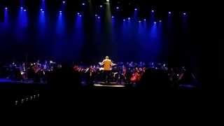 Danny Elfmans-The Batman Theme Live