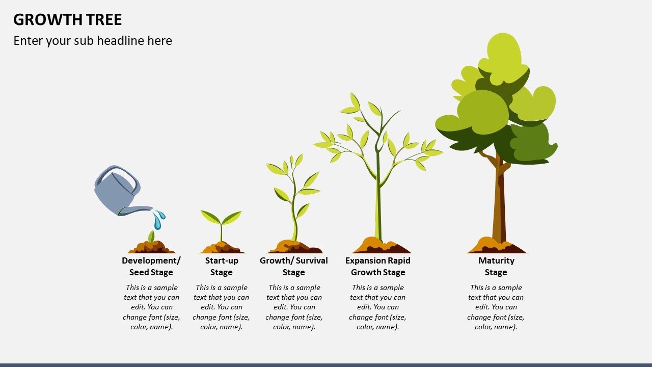 Growth Tree Animated PowerPoint Template