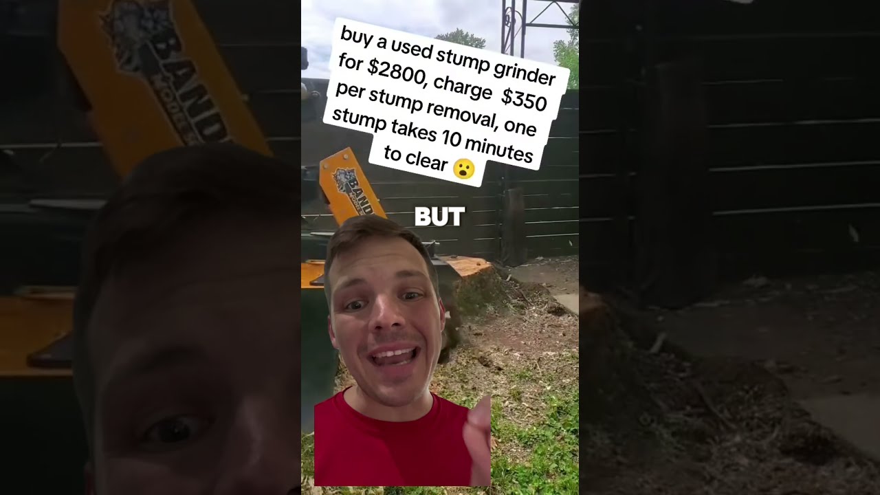 How to Make $200/Hour with a Low-Risk Stump Grinding Business