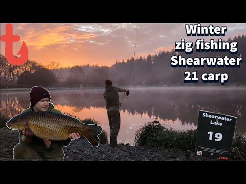 21 carp on zigs at Shearwater fishery in Feb.Crazy carp fishing 2024