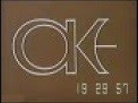 DDR - Antenne Hellerau, Das Fernsehen und die Einheit - deutsch