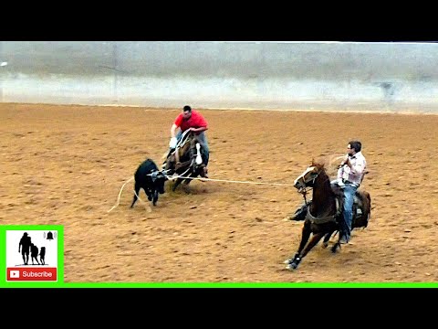 #13.5 Round 1 Team Roping - 2020 Mc3 Ariat World Series Qualifier