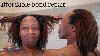 AFFORDABLE BOND REPAIR ROUTINE WITH SHEA MOISTURE| Colored textured hair wash day