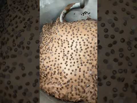 Honey Chocolate Bread #たもグルメ #japanesefood