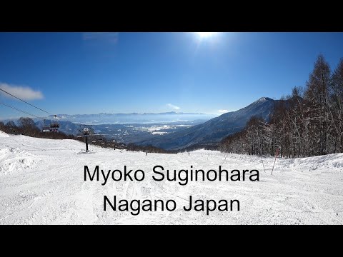 Video: Your understanding of Myoko Suginohara Resort is perfect! 【japow,Nagano,Explanation 】