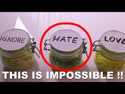 THE IMPOSSIBLE RICE EXPERIMENT