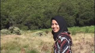 Download lagu Story WA pendaki Taman Adelewis digunung papandayan mp3