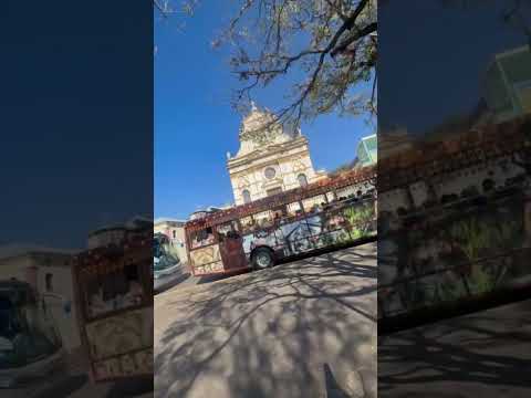 O ônibus mais italiano do Brasil? 🇮🇹🚌 Conheça essa experiência em Antônio Prado!