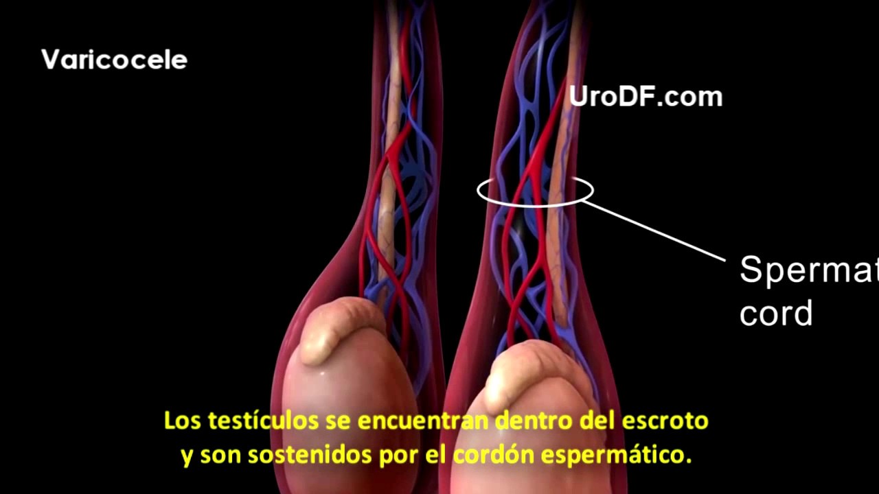 Karian Trujillo Ríos-33