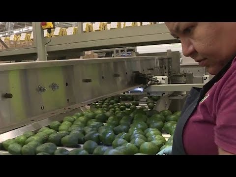 NAFTA: The history of the major trade deal