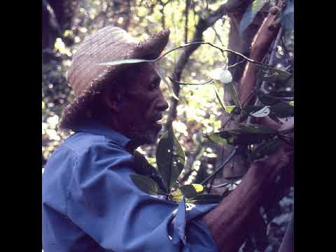 38 Mais Um - Manoel Corrente - Caboclo Guerreiro (2019.09.27) (2019.09.27)