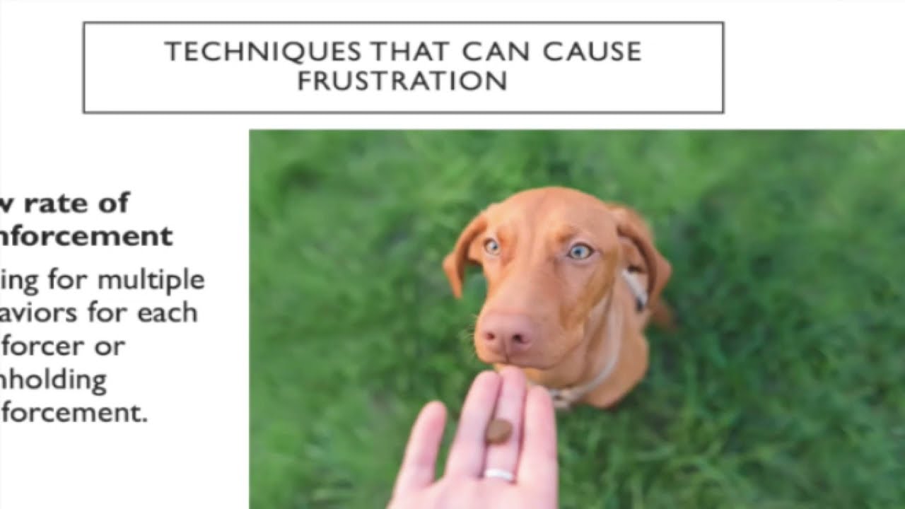 Least Intrusive, Minimally Aversive: How do 