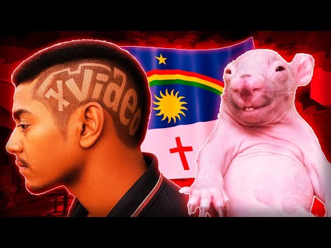 🤢 PERNAMBUCO, THE WILD WEST OF FE1UR4