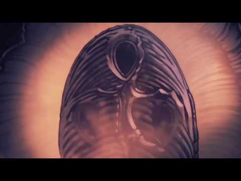 Dubloon7 Plays - Hollow Knight (PS4) - Episode 1