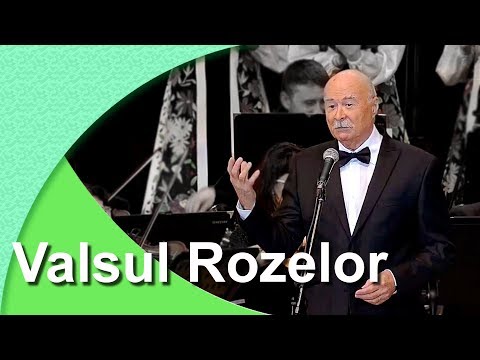 Tudor Gheorghe Valsul Rozelor
