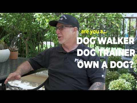 Meet The Real Dog Guru