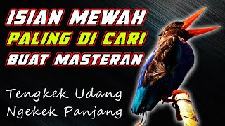 Download lagu SUARA NGEKEK KAYA GINI PALING DI CARI BUAT MASTERA... mp3