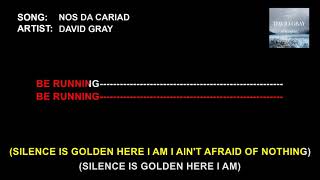 David Gray - Nos Da Cariad (Karaoke)