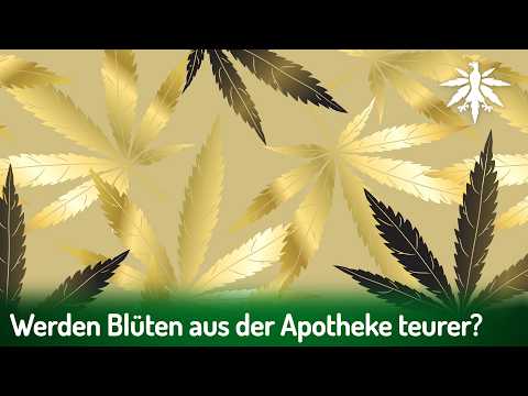 Werden Blüten aus der Apotheke teurer? | DHV-News # 499