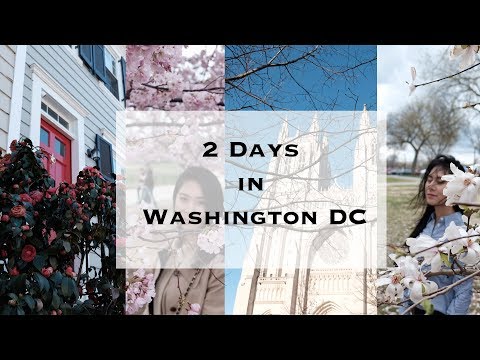 Washington Cinematic Vlog |华盛顿游记｜Travel with Sarah & Jessica #1 | Fujifilm X-T20