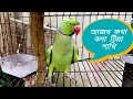অসাধারণ কথা বলা টিয়া পাখি || funny talking parrot || tiya pakhi kotha bole