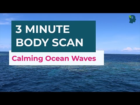 3 Minute Body Scan | Relax & Destress (2023)