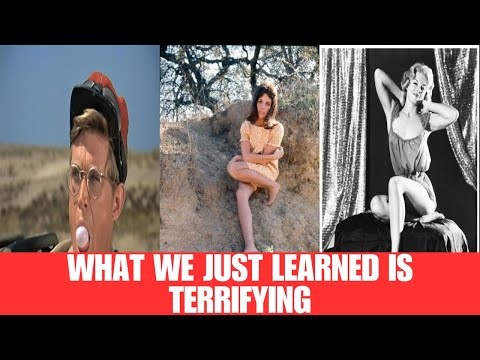 The Hidden Secrets of The Rat Patrol TV Series: Prepare to Be Shocked