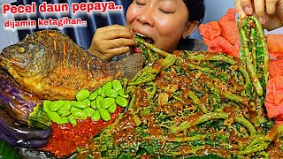 Download lagu DIJAMIN BIKIN KETAGIHAN 🤤‼️PECEL DAUN PEPAYA ,SAMBEL TRASI PETAI TERONG IKAN mp3 Download lagu DIJAMIN BIKIN KETAGIHAN 🤤‼️PECEL DAUN PEPAYA ,SAMBEL TRASI PETAI TERONG IKAN mp3