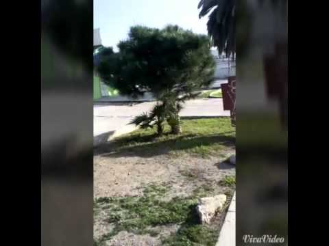 New - J-Woods ft. Cali Versa