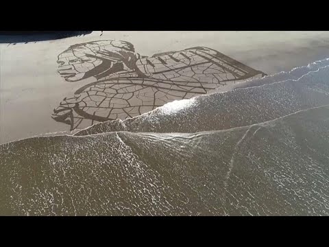 Kunst bis die Flut kommt