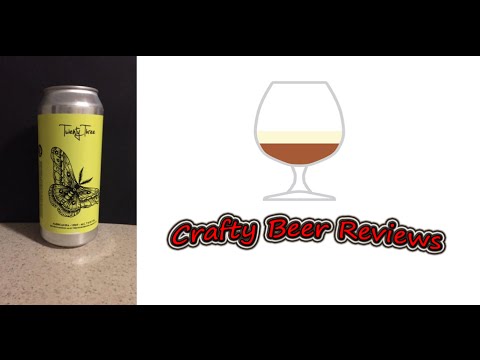 Tree House Brewing Curiosity Twenty Three (23) IPA | Crafty Beer Reviews #555