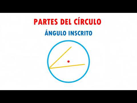 PARTES DEL CÍRCULO Super facil