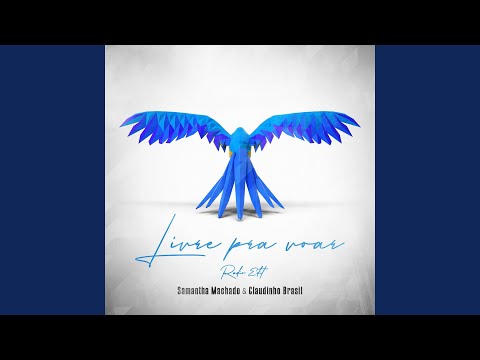 Livre Pra Voar (Radio Edit)