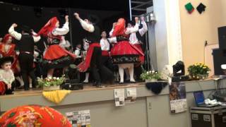 preview picture of video 'As Andorinhas de Portugal de Delémont. Atuação do Grupo Folclore Infantil de Basel.MTS'
