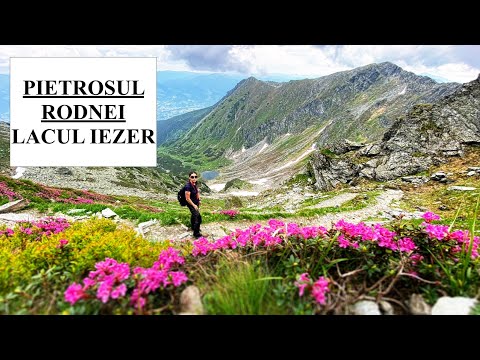 Vf. Pietrosul Rodnei Borșa - Un traseu superb cu   marmote, capre negre, soare, ploaie și zăpadă