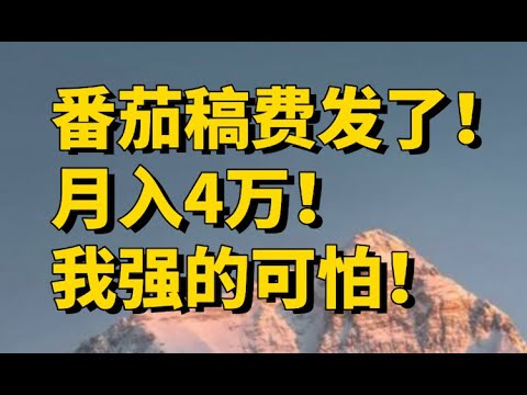 从月入4千到4万的经验分享，番茄稿费，番茄小说，白嫖ai写小说，ai写网文，星月写作