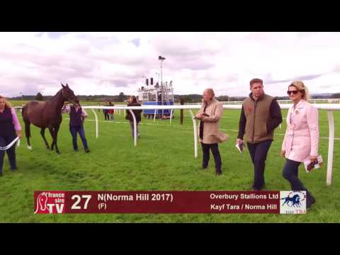 TBA Foal Show 2017 - Lot 27 - F17 - Kayf Tara & Norma Hill