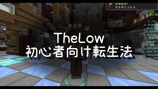 【TheLow】初心者向けEXPBLOCKのみ転生 11:09